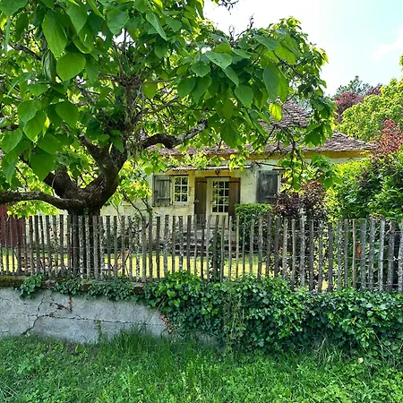 Semesterbostad The Snug House *